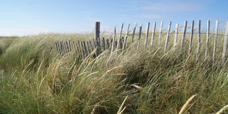 trois plages de sable fin Erdeven