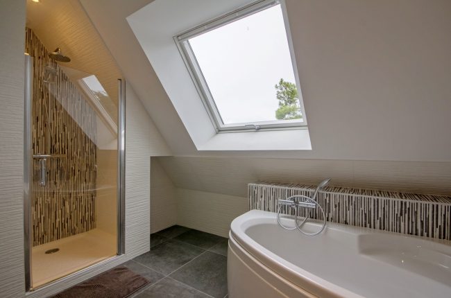 salle de bain avec douche et baignoire